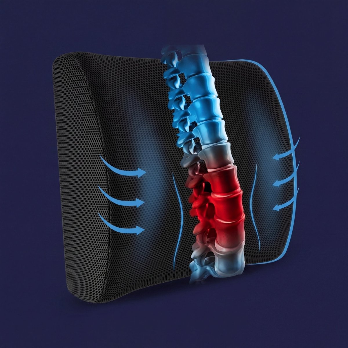 Coussin Orthopédique Dossier Cellsius - Soulage les douleurs lombaires et dorsales