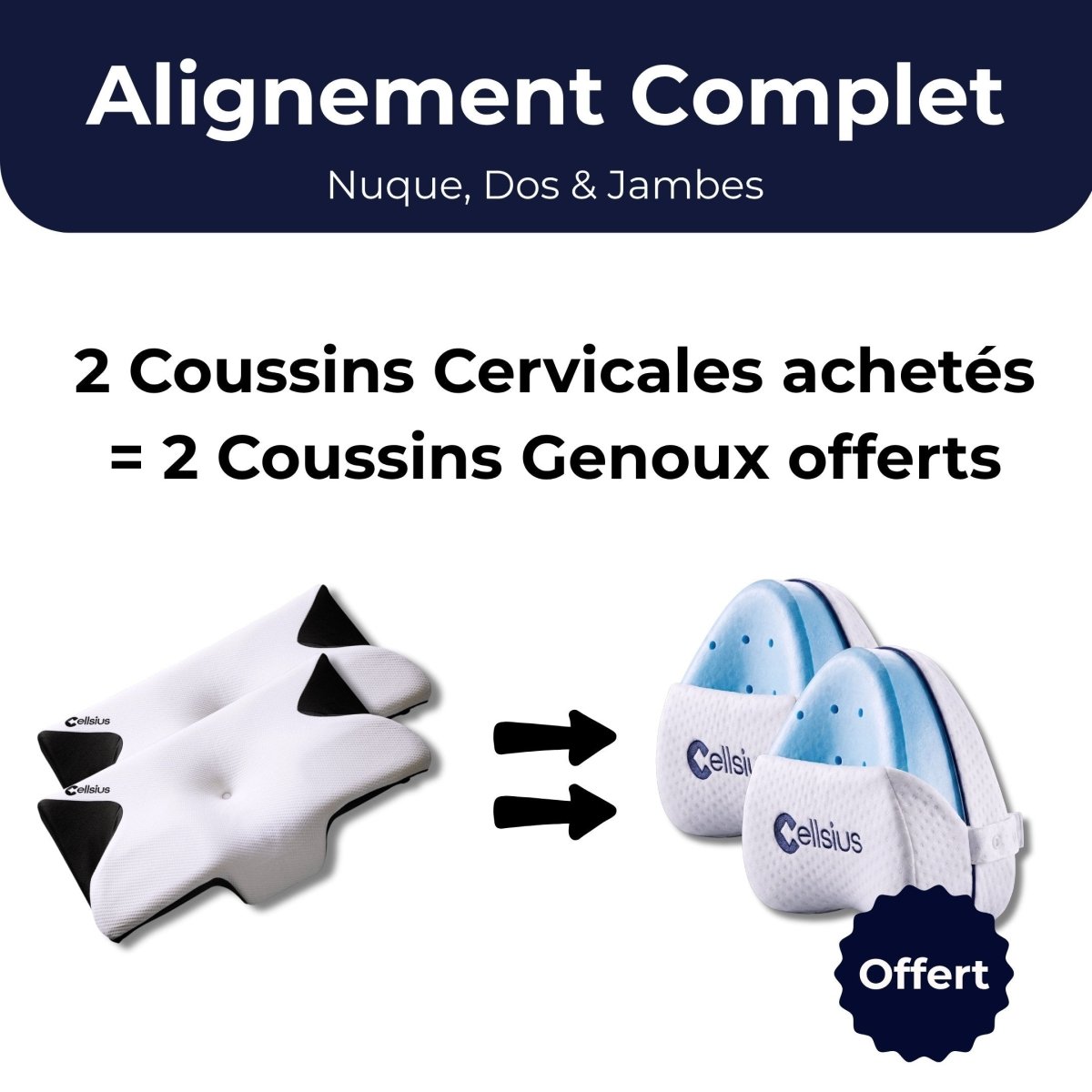 Pack Alignement Complet - Soutien global du corps